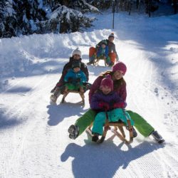 ferienwohnung-flachau-familienrodeln