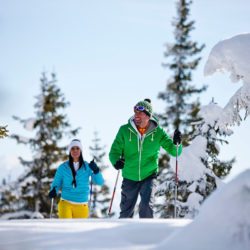 ferienwohnung-flachau-schneeschuhwandern-durchs-flachautal